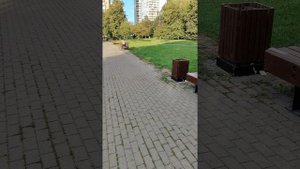 2025г ненужная покраска скамеек