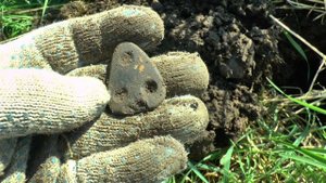 №60. Коп монет. Поездка в новые места. Монеты есть!!!