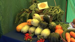 Удачный год - 2025. ТК «Первый Советский»