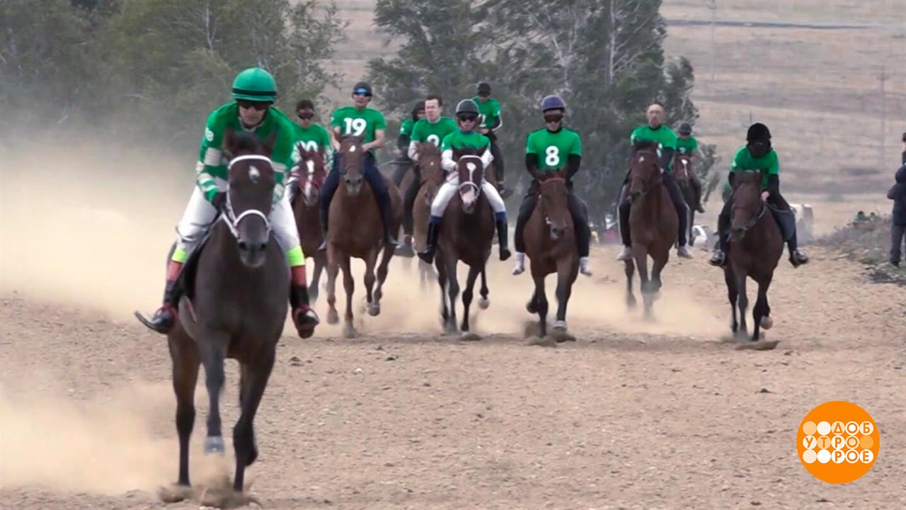 Ах вы кони, мои кони! Доброе утро. Фрагмент выпуска от 08.09.2025