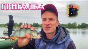 Рыбалка и грибалка во Владимирской области