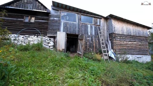 Продается дом в замечательном уединенном месте Челябинской области рядом с природой смотреть онлайн