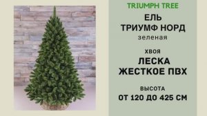 Triumph Tree - ОБЗОР искусственной ели Триумф Норд зеленая