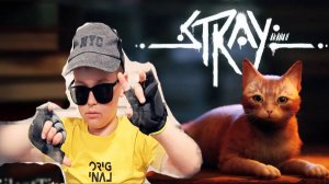 STRAY прохождение игры