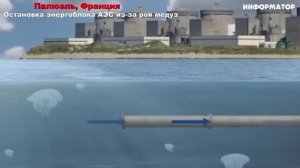 Новости Сегодня 05.09.2025
Россия, Москва,
Экстренный вызов новый
выпуск, Катаклизмы,
События Дн