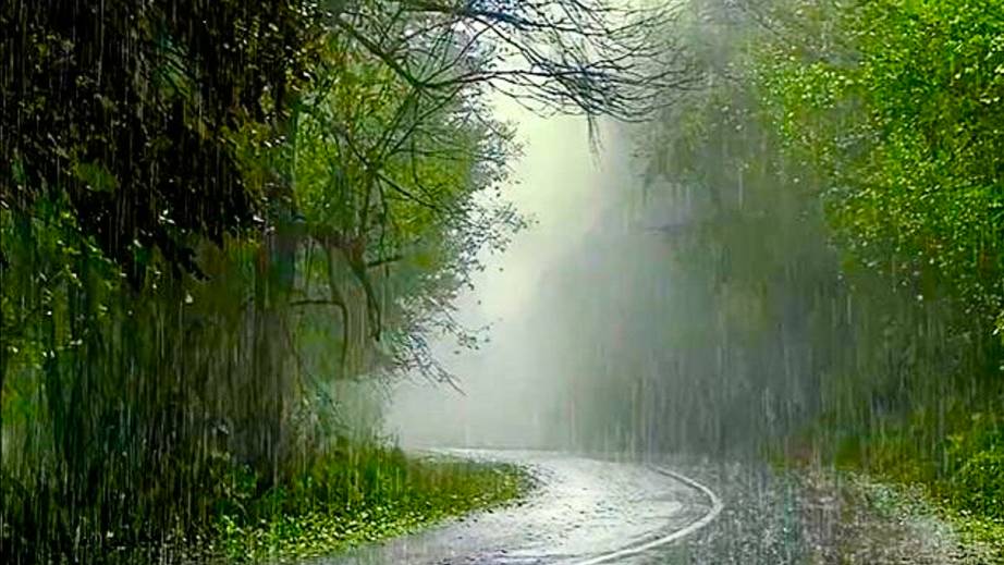 Каждый старик и каждая бабушка смотреть онлайн