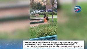Мигрантка превратила детскую песочницу в помойку для кошачьих испражнений в Подмосковье