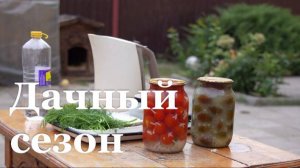 Овощеводы Республики начали подготовку к закрытию дачного сезона