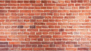 2. Основы информатики. Двоичная система счисления