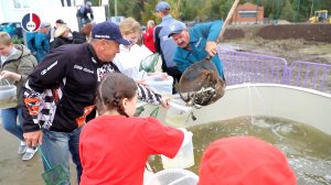 Зарыбление Верх-Нейвинского пруда