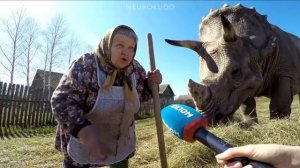Сено жрет значит корова)))