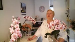 🌺🌺🌺🌿☘️