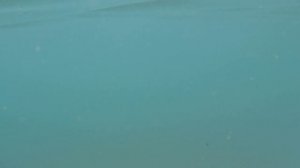 В море с головой