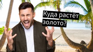 Анализ, поиск точек входа и открытие позиций. ЗОЛОТО, Dow, Nasdaq, Forex и др. 08.09.2025