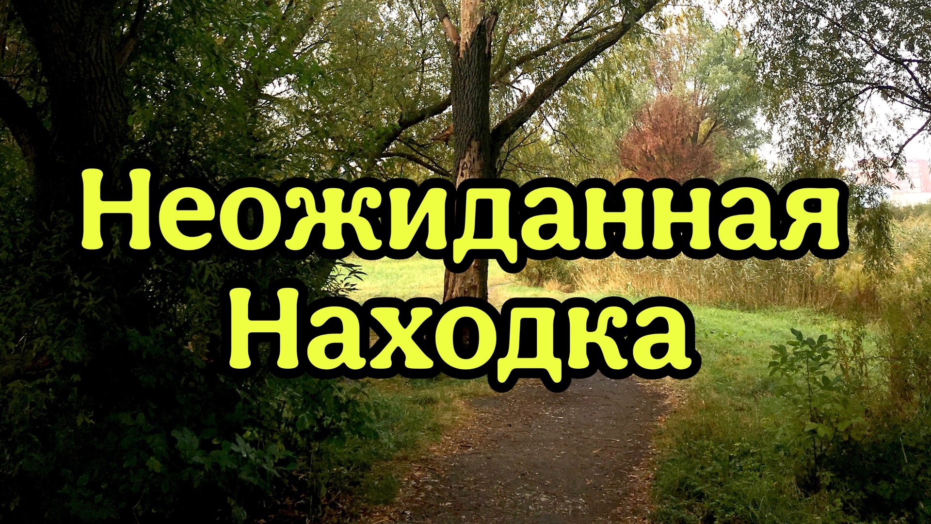 Неожиданная находка. смотреть онлайн