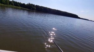 Истринское водохранилище,  июль 2022 , новая снасть тест