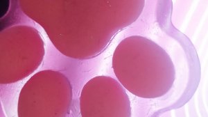 .!. Распаковка лапок.!. пишите в коменты что мне снимать