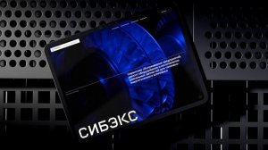 AVA Digital. Кейс СИБЭКС