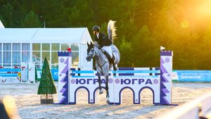 Команда Югры завоевала 74 медали на Кубке губернатора по конкуру