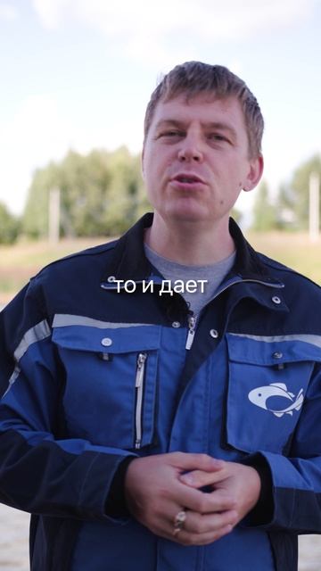 Откуда у рыбы «туалетный» запах и почему это не норма для хорошей фермы. смотреть онлайн