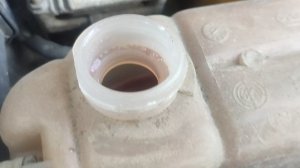 Моторный отсек Фиат Альбеа. Работа двигателя.