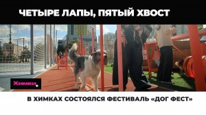 В ХИМКАХ СОСТОЯЛСЯ ФЕСТИВАЛЬ «ДОГ ФЕСТ»