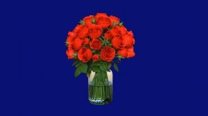 букет в банке вращение