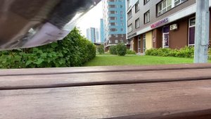 Распаковка долгожданного жребца