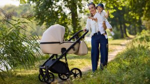 Видеообзор детской коляски Адамекс Нола (Adamex Nola).