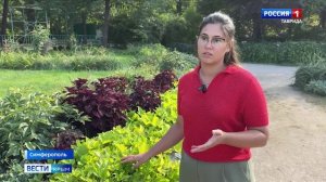 На экспозиции «Большая цветочная поляна» ботанического сада им. Багрова зацвело необычное растение