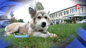 Под опекой антициклона