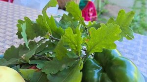 свои яблочки