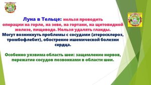 Лучшие Советы Для Сада и Огорода с 09 по 12 Сентября 2025!