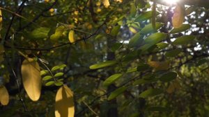 Важный гороскоп на 8 сентября. День судьбы.