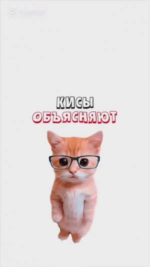 КИСЫ ОБЪЯСНЯЮТ / Как работает ДетДом? / Как Пивко Меняет Тебя? / Кто такие Сталкеры?
