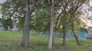 08-09-2025 самолет летит над деревней, деревенская прогулка