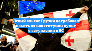 Левый альянс Грузии потребовал изъять из конституции пункт о вступлении в ЕС