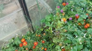 Осенние работы