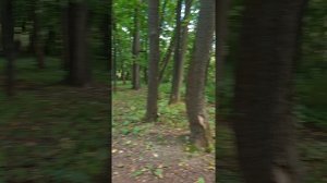 Сбежать из больнички на час, и случайно попасть в рай для москвичей. Парк «Покровское-Стрешнево».