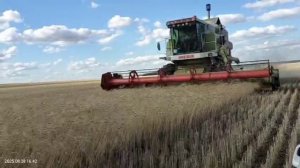 Класс Мега Доминатор