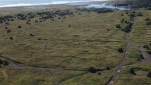 VID_20250908_122113_446.mp4