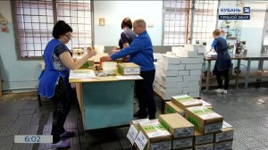 В Краснодарском крае 12 сентября откроются 2 тыс. 870 избирательных участков