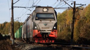 Поезда в лесу на перегоне Кузьма - Бородулино Свердловской железной дороги