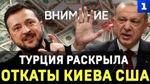 Турция раскрыла откаты Киева США