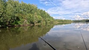 🔺️🎣ЗАЦЕПИЛ🎣🔺️fishing#туризм#природа#ловля#рыбалка#щука#ловлящуки#ночевка#Чулым#река#спиннинг