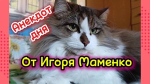 Анекдот от Игоря Маменко.