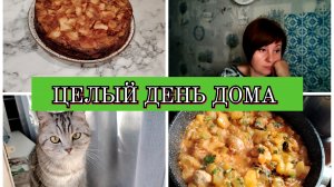 08-09-2025 КАБАЧКИ С ФРИКАДЕЛЬКАМИ😋ШАРЛОТКА НА КЕФИРЕ🥮РЕПЕТИТОР ПО АНГЛИЙСКОМУ ДЛЯ СЫНА❤️