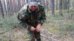 Боровые белые часть 3/как Леша бочки собирал/лосиная кровососка/завтрак у дороги с новой плиткой