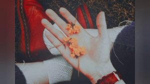 Пожалуйста послушайте что сказала моя лп | правда ли это или нет??