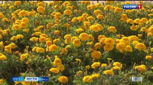 Вести-Томск, выпуск от 08.09.2025 09:30